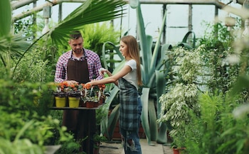 El 54% de las empresas en Costa Rica ya incorpora prácticas vinculadas al empleo verde. Cortesía: TRP Lab