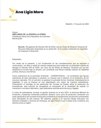 La representante del Centro Democrático sostuvo que las Áreas de Reserva Temporal de Recursos Naturales paralizan la actividad formal y favorecen la ilegalidad - crédito Ana Ligia Mora /X