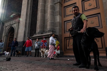 La bendición de los animales