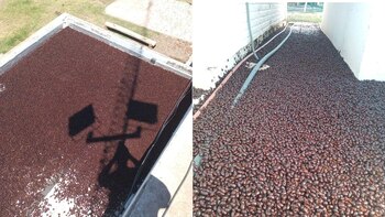 Por la ola de calor,