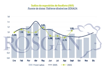 Índice de reposición en feedlots