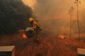 La Organización Meteorológica Mundial advierte que la combinación de El Niño, el Índico y el Atlántico puede aumentar el riesgo de crecidas e incendios forestales (AP Foto/Manu Fernandez, Archivo)