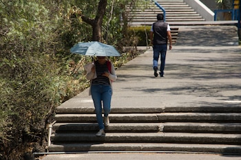Onda de calor continuará afectando gran parte de México con temperaturas superiores a 40 °C.
FOTO: ROGELIO MORALES /CUARTOSCURO.COM
