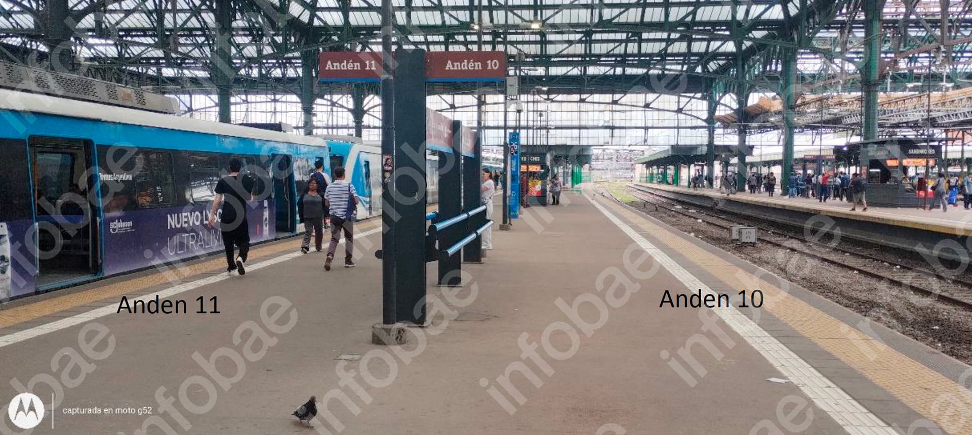 Los informes médicos, la denuncia ante la ART y los peritajes no lograron confirmar de forma directa que las lesiones derivaran del episodio denunciado en el tren. Imagen del informe pericial (Poder Judicial)