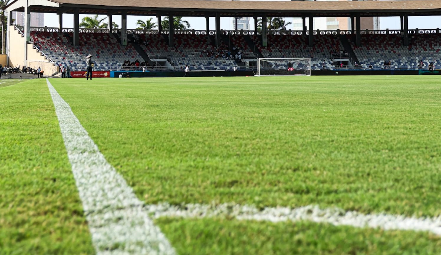 É assim que fica a grama do estádio Romelio Martínez no Junior x Santa Fe - crédito do Santa Fe