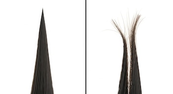 Imagen dividida por una línea vertical. Izquierda: un mechón de cabello oscuro con una punta cónica cerrada. Derecha: un mechón de cabello oscuro con puntas abiertas y deshilachadas. Fondo blanco.