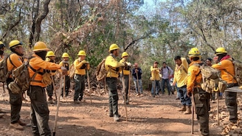Incendio forestal en Nuevo Urecho, Michoacán, suman 140 en lo que va de 2026