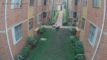 Miguel Hernández, abogado de la