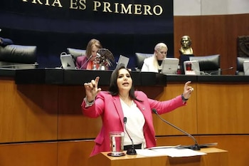Mayuli Latifa Martínez advirtió sobre las condiciones para expresar críticas hacia las autoridades.