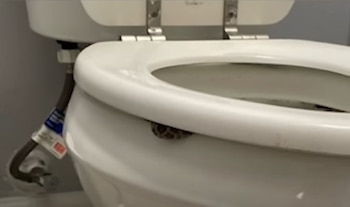 La texana fotografió al reptil