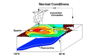 Diagrama en perspectiva muestra el Pacífico ecuatorial, corrientes oceánicas, termoclina, vientos, nubes, lluvia, y etiquetas "Normal Conditions" y "Equator"