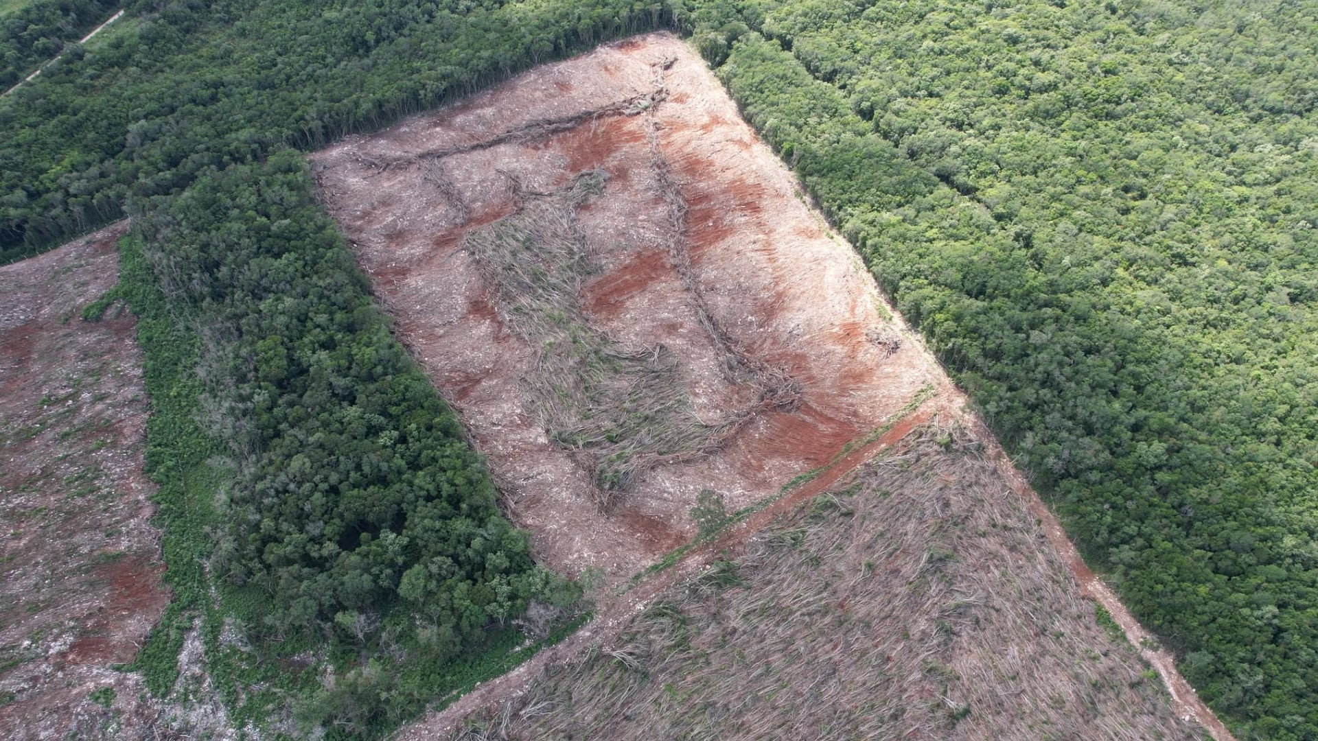 Fallo histórico de la Suprema Corte a comunidades mayas en Campeche (Facebook: Colectivo Maya de los Chenes)