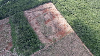 Fallo histórico de la Suprema Corte a comunidades mayas en Campeche