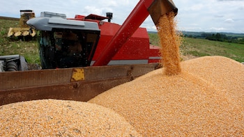 La economía creció 0,01% en