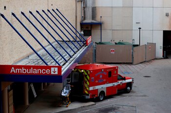 Cristina Mascheroni ha convocado una