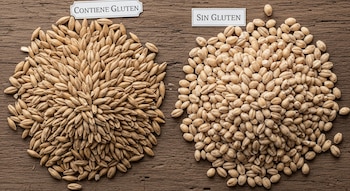 Dos montones de granos: uno de cebada con cáscara (con etiqueta 'Contiene Gluten') y otro de malta pelada (con etiqueta 'Sin Gluten') sobre madera.