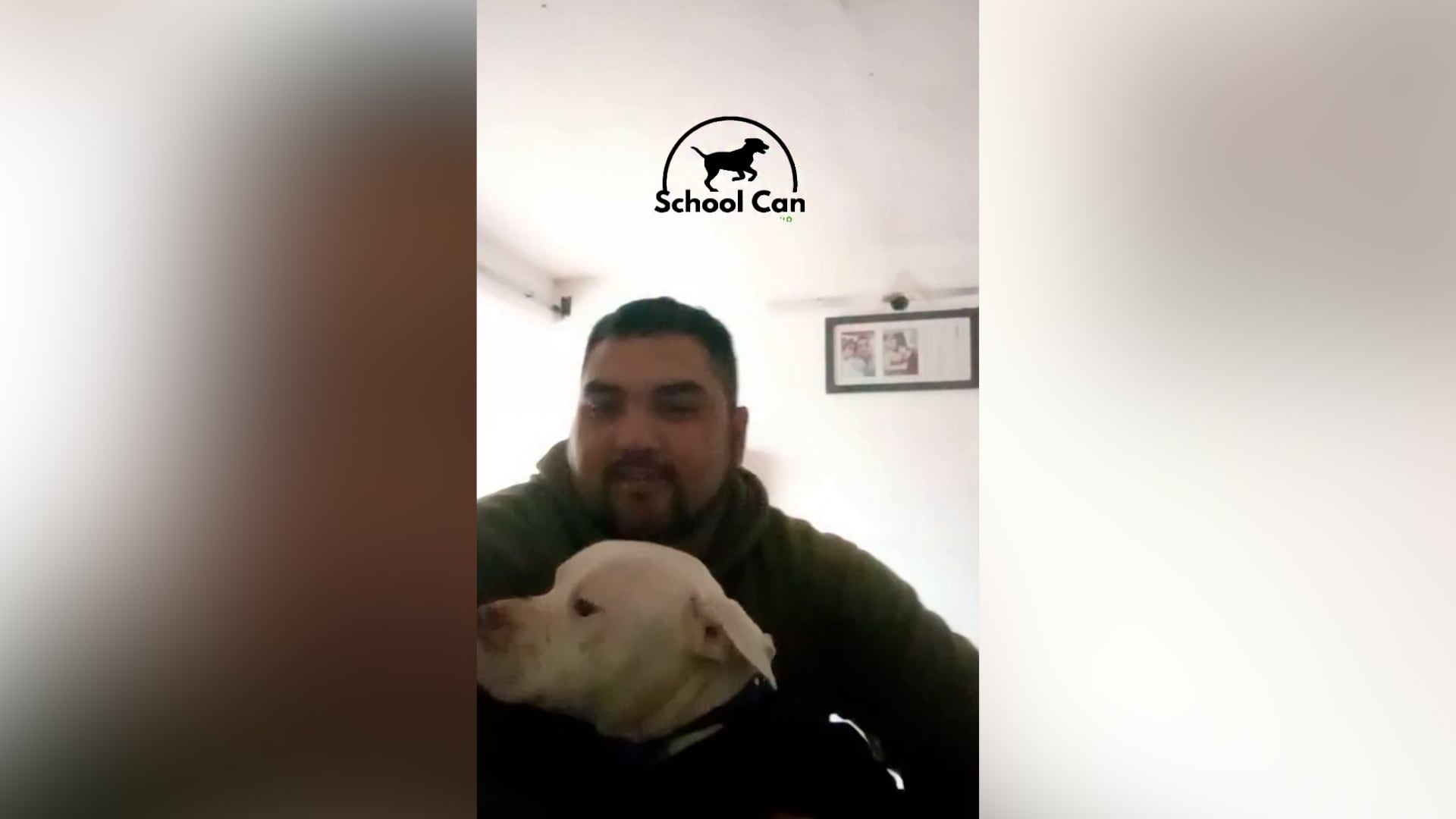 El dogo argentino rescatado en la casa de Claudio Barrelier mejoró bajo el cuidado de una guardería cordobesa