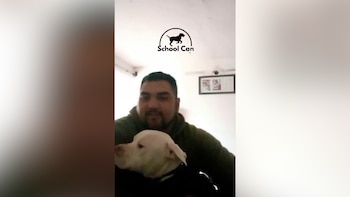 Un hombre barbudo con sudadera oscura sostiene a un perro blanco de hocico corto. Al fondo, una pared blanca y un cuadro colgado
