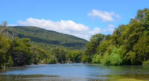 La mujer salió a pescar en la zona del kilómetro 25,5 de la Ruta Provincial 83