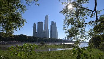 Reservas ecológicas urbanas: pulmones verdes