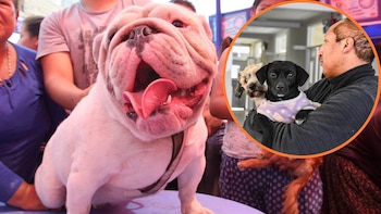 Los vecinos de estos distritos