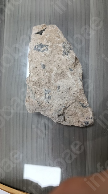 Una roca porosa de tono claro con fragmentos oscuros reposa sobre una superficie de madera
