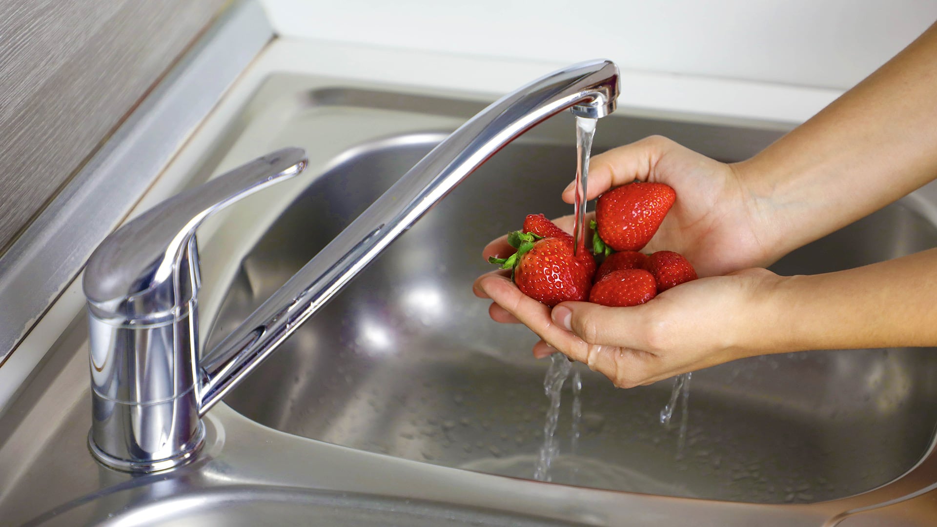 Hasta los frutos más comunes pueden guardar historias evolutivas inesperadas (Freepik)