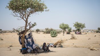 Un ataque con un avión