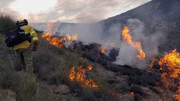 El incendio en Huércal de