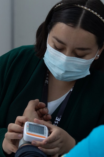 Existen cuatro categorías que puede