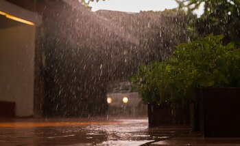 Las Autoridades Darán Aviso Oportuno