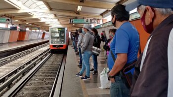 Un perro fue rescatado de