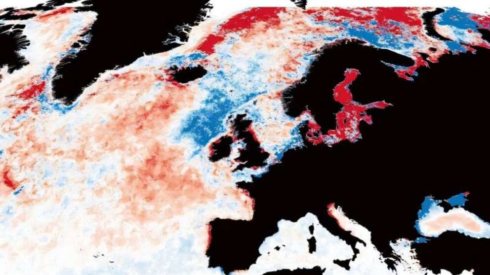 El oscurecimiento del océano alerta a científicos por su impacto en la biodiversidad marina global