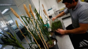 Una empresa de Bioceres consiguió