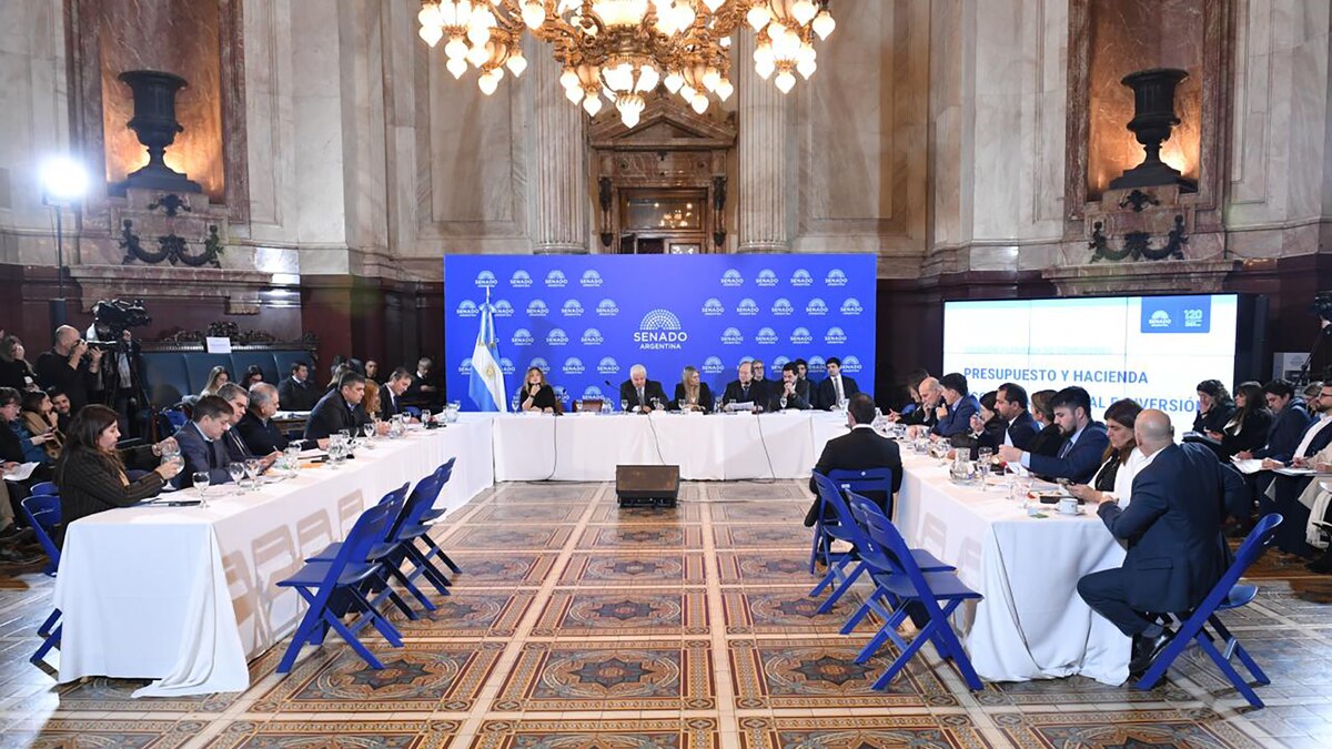 El Gobierno quiere destrabar el Súper RIGI en el Senado y le hizo una contrapropuesta a los aliados