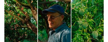 Jonathan H. Crane, especialista en