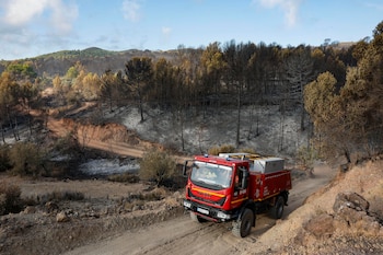 El incendio que se originó este jueves como consecuencia de un rayo en el municipio castellonense de Segorbe ha obligado a desalojar a un millar de personas de la vecina localidad de Gátova y afecta provisionalmente a unas 423 hectáreas de masa forestal, parte de ellas en la Sierra Calderona