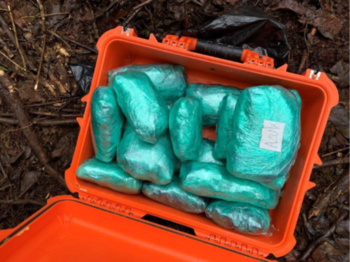 Valdez Sanudo se declaró culpable