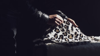 Tu próximo abrigo de piel puede estar creciendo en un campo de cultivo