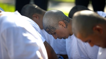 Tribunal de El Salvador impone penas de hasta 60 años a 102 miembros de la clica “Calle La Amargura” de la MS-13