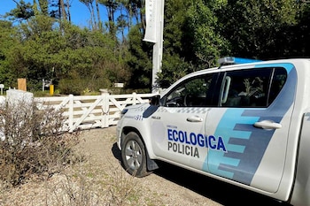 Un experimento escolar desencadena explosión y operativo de emergencia en La Plata