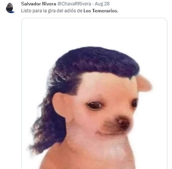 Usuarios de redes sociales se