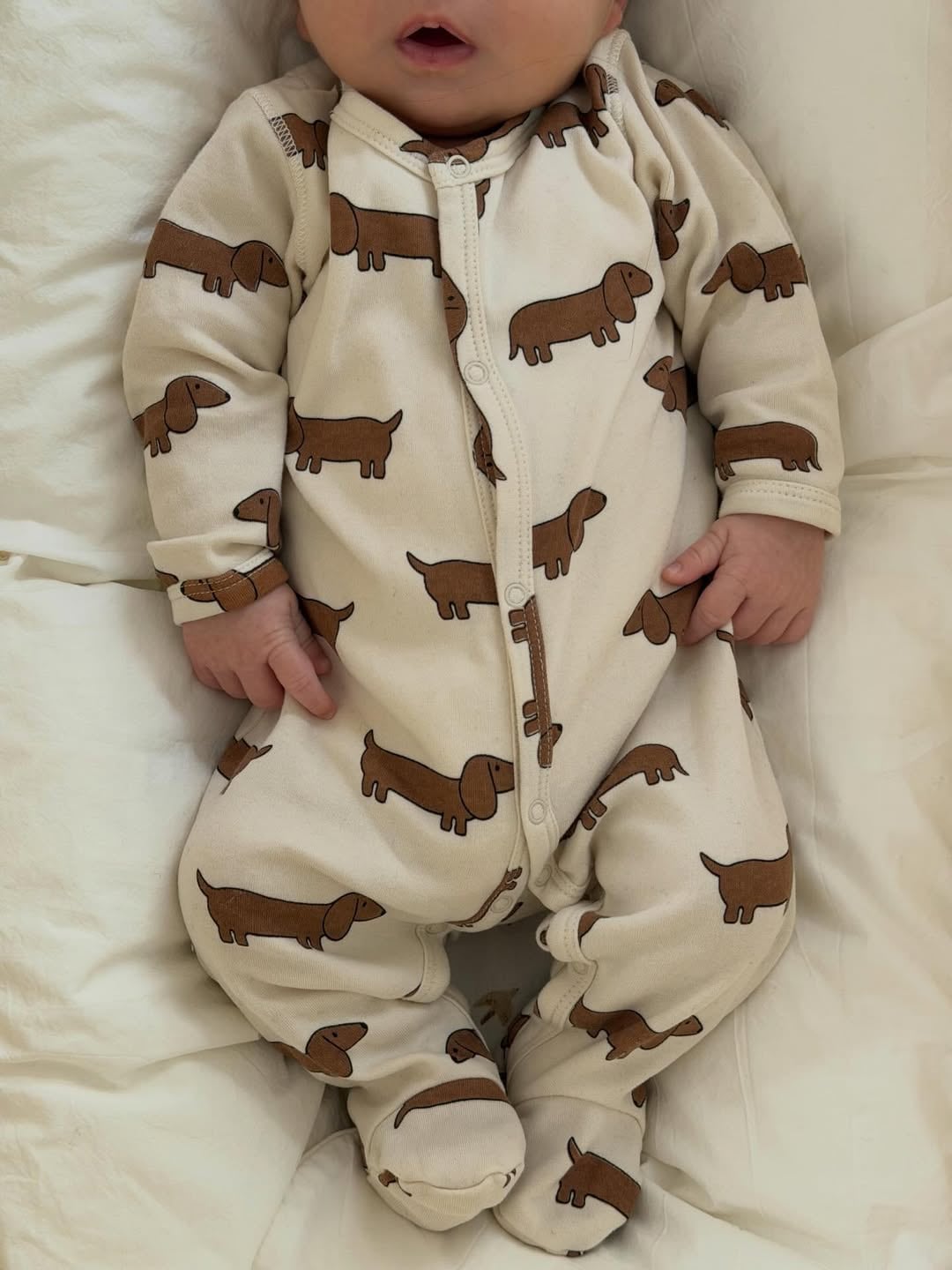 Dante luce un body con estampado de perritos en una escena que resume el clima familiar y relajado