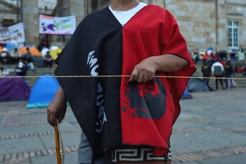 En total, son más de