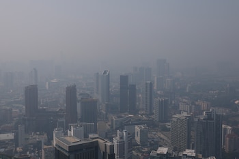 La presencia sostenida de polución ambiental y gases urbanos acelera el deterioro de la salud de los ojos (EFE/EPA/FAZRY ISMAIL)