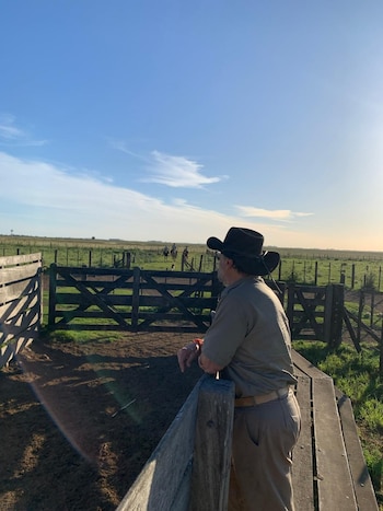 El campo los hizo sentir