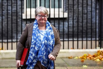 La ministra de Medio Ambiente