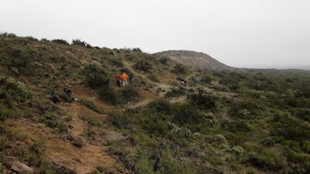 Más y más huesos continúan