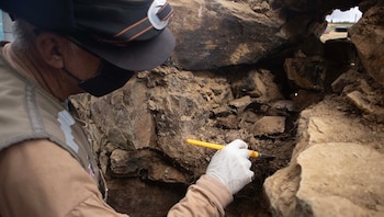 Se recuperaron restos óseos humanos y animales, fragmentos de cerámica y artefactos líticos. Difusión