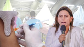 Ministra de Salud descartó su